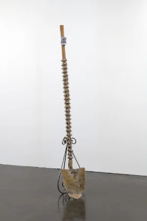 COLIN RICCOBENE