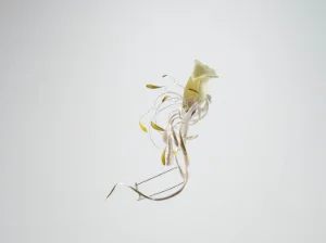 NING XIAOLI